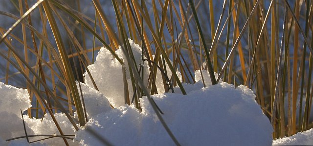 Tourismus Ostsee Winter Referenzen